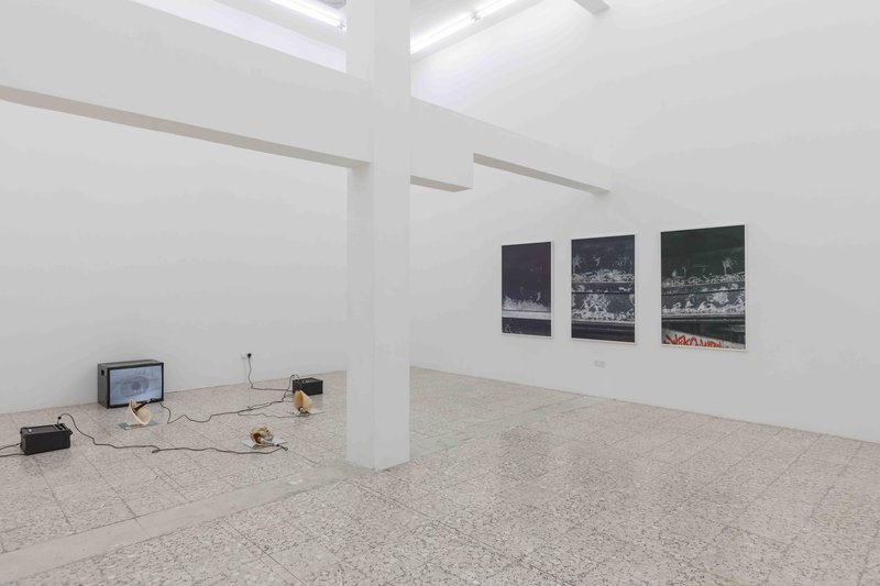 1. Stelios Kallinikou, Calls and Songs, 2024, Installation view.jpg