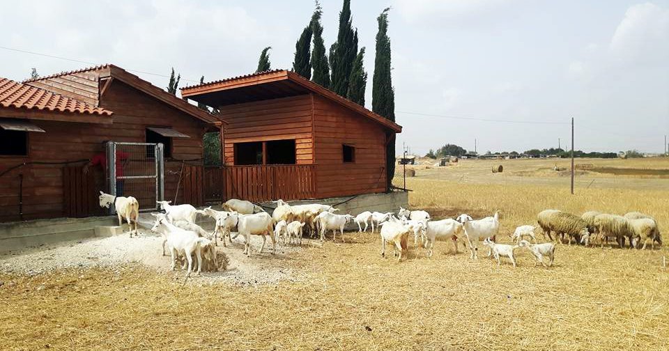 &Pi;&rho;&omicron;&sigma;&omega;&rho;&iota;&nu;ό &laquo;&lambda;&omicron;&upsilon;&kappa;έ&tau;&omicron;&raquo; &gamma;&iota;&alpha; &alpha;&gamma;&alpha;&pi;&eta;&mu;έ&nu;&eta; &mu;&alpha;&sigmaf; &phi;ά&rho;&mu;&alpha; &pi;&omicron;&upsilon; &sigma;&epsilon;&rho;&beta;ί&rho;&epsilon;&iota; &epsilon;&kappa;&lambda;&epsilon;&kappa;&tau;ό brunch