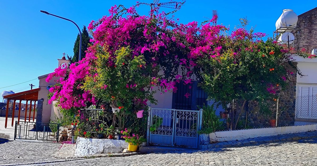 &Eta; &Tau;&rho;&alpha;&chi;&upsilon;&pi;έ&delta;&omicron;&upsilon;&lambda;&alpha; &epsilon;&tau;&omicron;&iota;&mu;ά&zeta;&epsilon;&iota; &tau;&eta; &mu;&epsilon;&gamma;ά&lambda;&eta; &kappa;&alpha;&lambda;&omicron;&kappa;&alpha;&iota;&rho;&iota;&nu;ή &tau;&eta;&sigmaf; &chi;&omicron;&rho;&omicron;&epsilon;&sigma;&pi;&epsilon;&rho;ί&delta;&alpha;