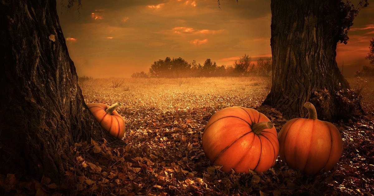 Το πιο εντυπωσιακό πάρκο της πόλης, γιορτάζει το Halloween Check In