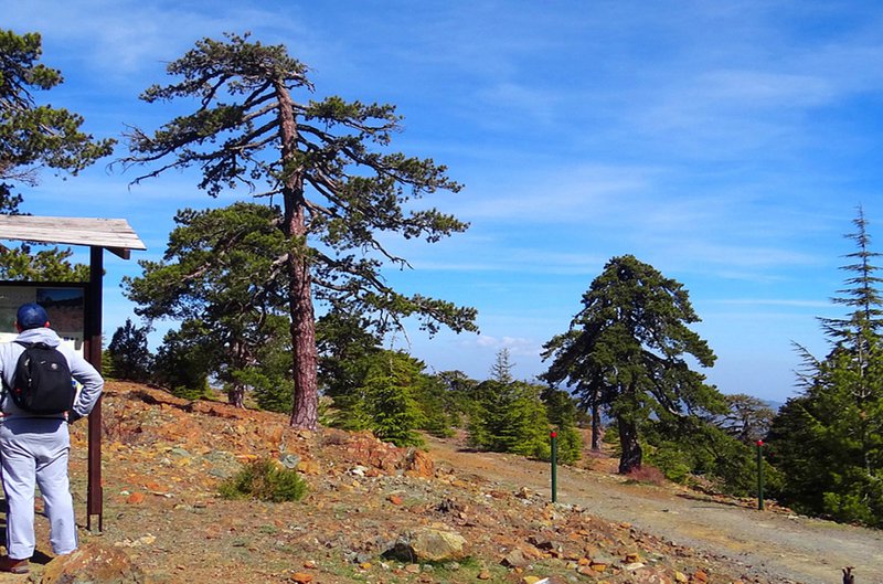 Atalanti-Nature-Trail-in-Platres-Village.jpg