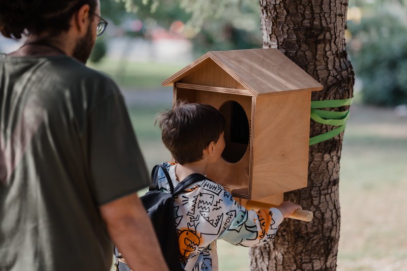 Birdboxes_3.jpg