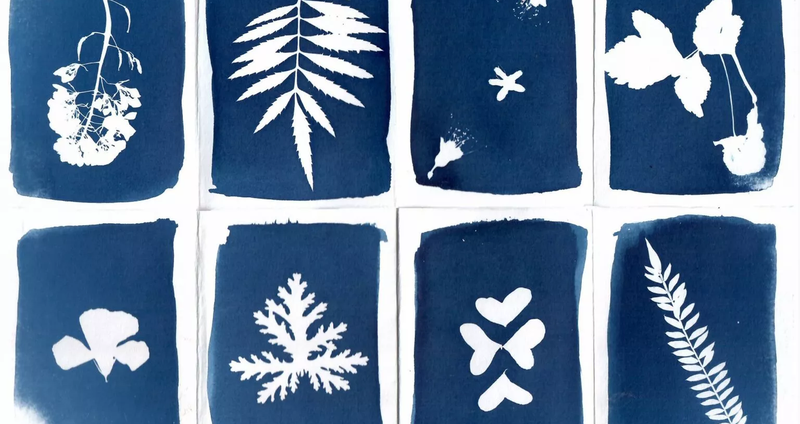 Cyanotype-by-Eleni-Philippou-1536.2e16d0ba.fill-1375x729.png