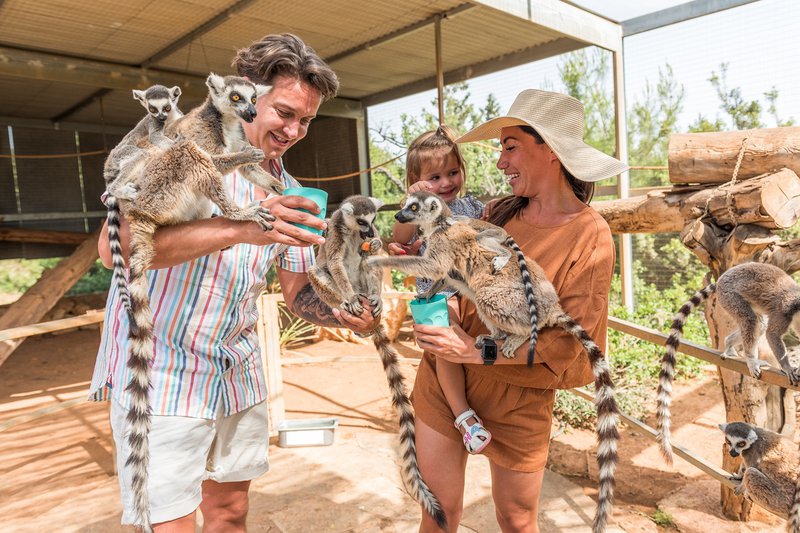 Family at Zoo 1.jpg