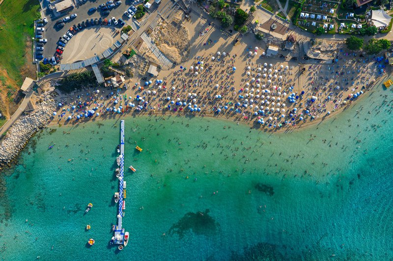 Fig tree bay.jpg