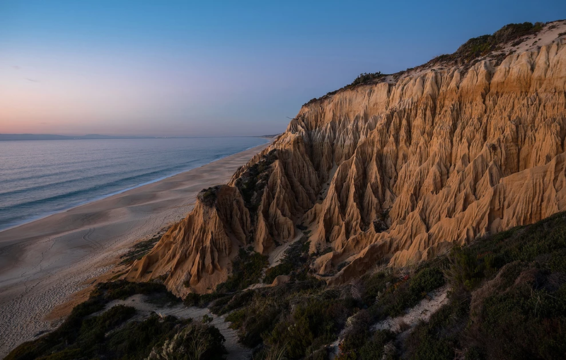 Fossil-da-Praia.webp
