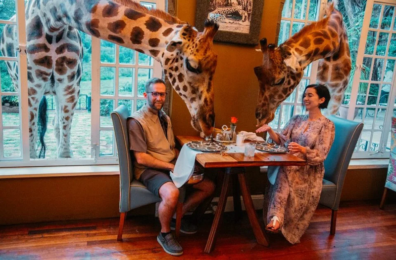 Giraffe-Manor-in-Nairobi-1024x675.jpeg.webp