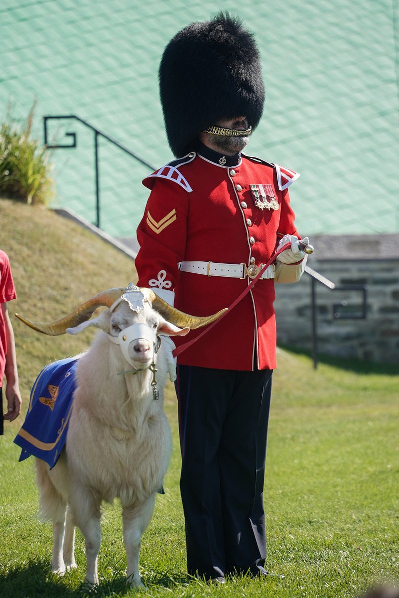 HAPPY TRAVELLER_ΚΕΜΠΕΚ_ (4).jpg