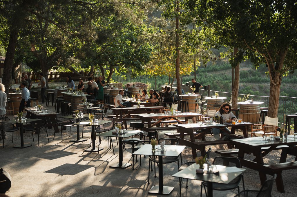 Κηπος Οινοποιειου στημενος για Εκδηλωση.JPG