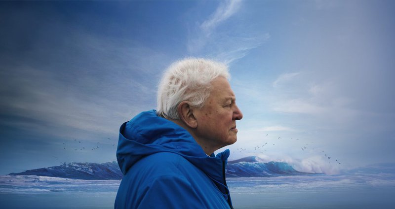 Ocean-with-David-Attenborough-204.2e16d0ba.fill-1375x729.jpg
