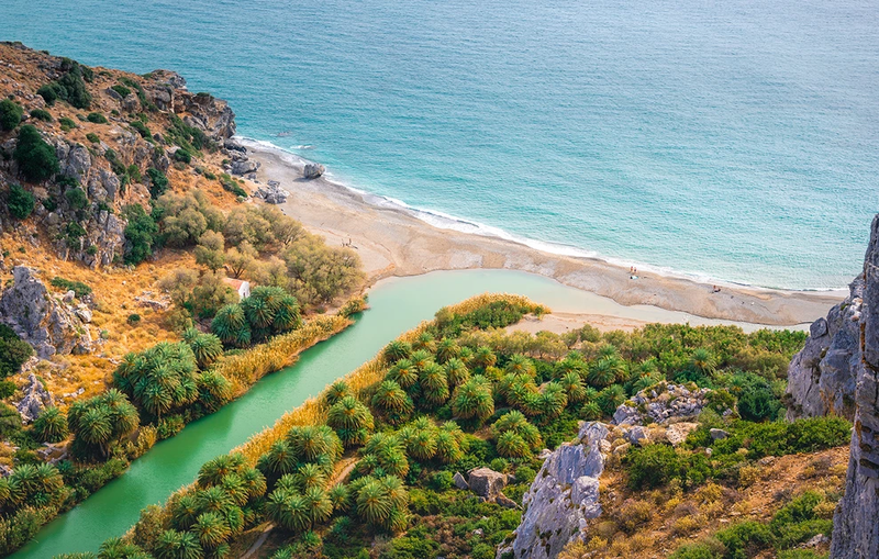 PARALIA-PREVELH.webp