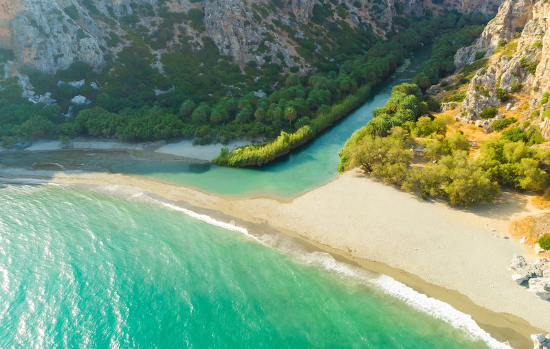 PARALIA-PREVELH1.webp