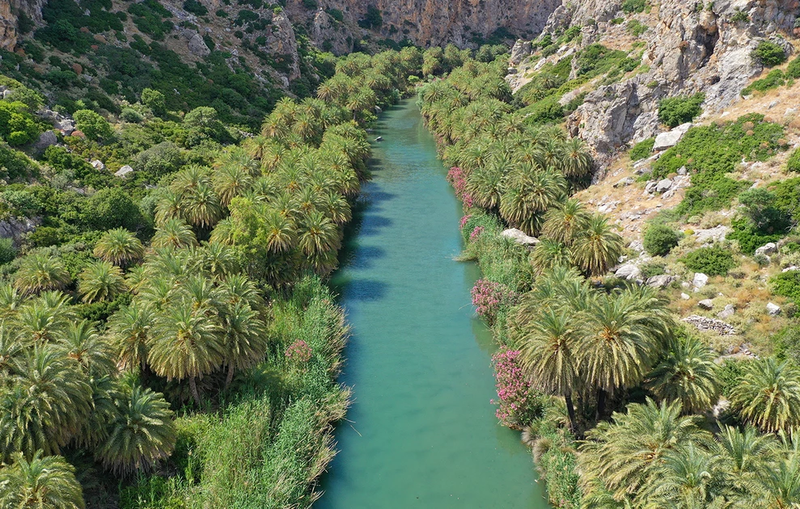 PARALIA-PREVELH3.webp