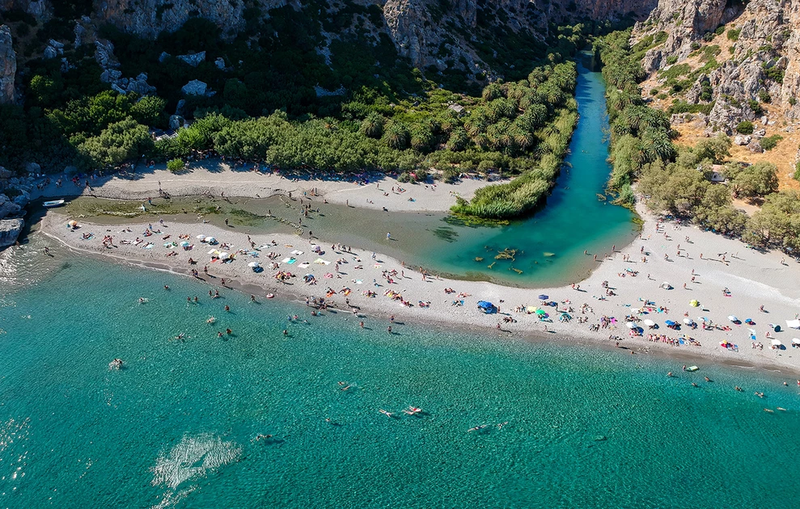 PARALIA-PREVELH5.webp