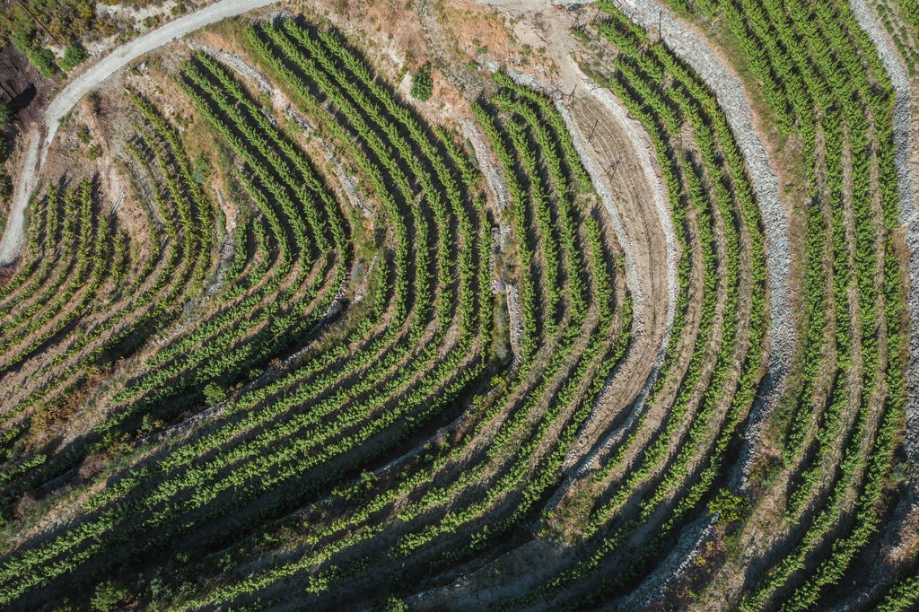 Πανοραμικη Αμπελωνα.JPG