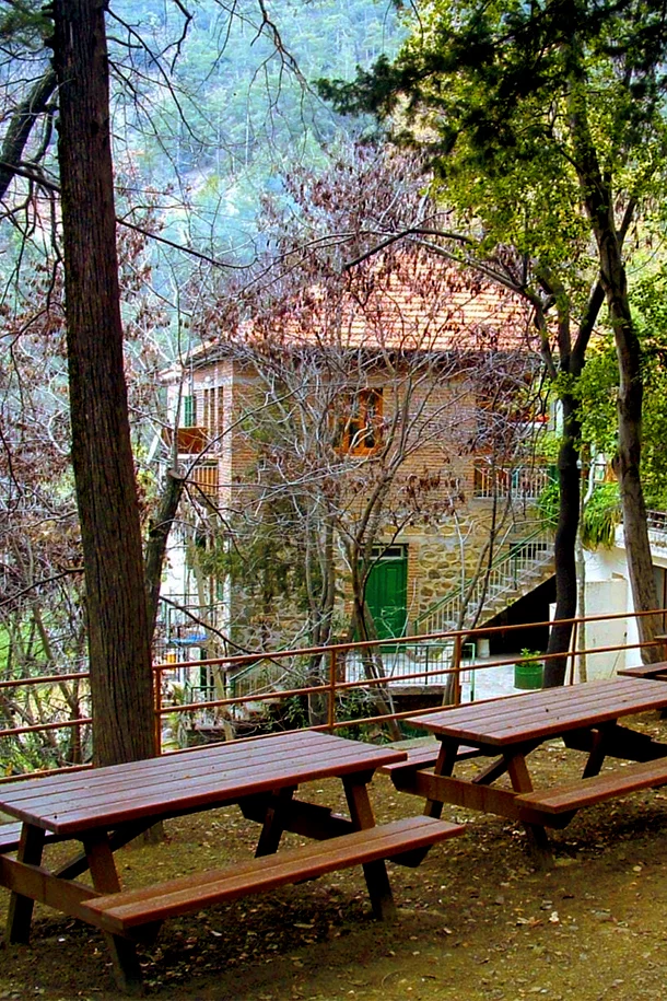 Stavros-Psokas-Camp-4-5b3e2100.webp
