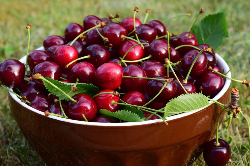 cherries-1509104_1280.jpg