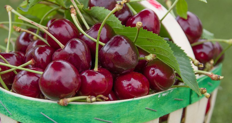 cherries-5259177_1280.2e16d0ba.fill-1375x729 (1).jpg