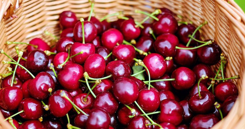 cherries-g8b93008fc_1920.width-19.2e16d0ba.fill-1375x729.jpg