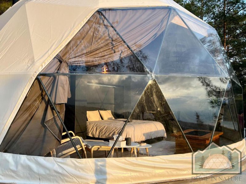 dome in nature.jpg