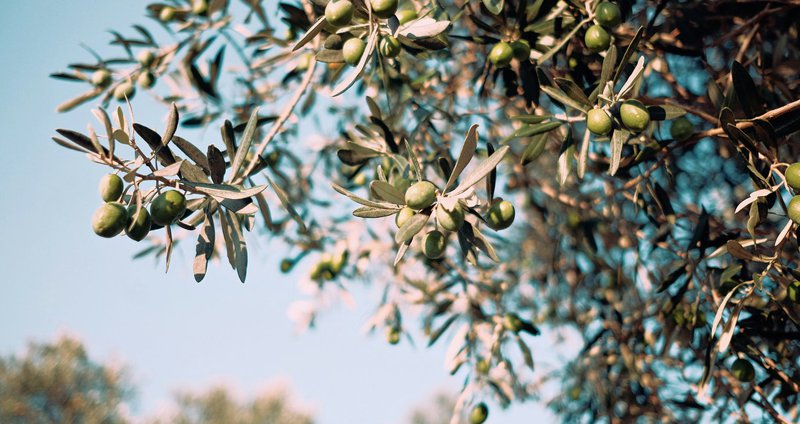 emre-9SDh6PF2g_U-unsplash.2e16d0ba.fill-1375x729.jpg