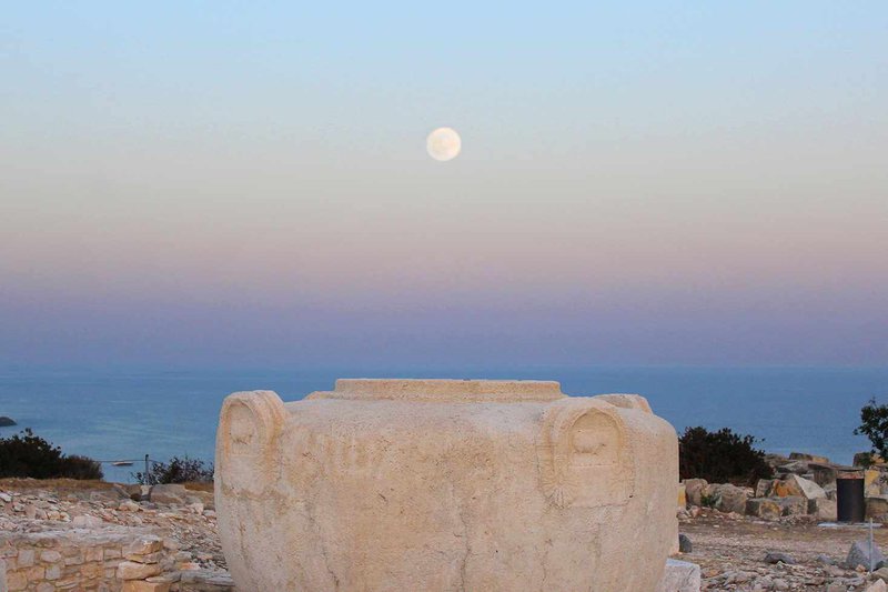 giant-vase-amathus-small-s2jpg.jpg