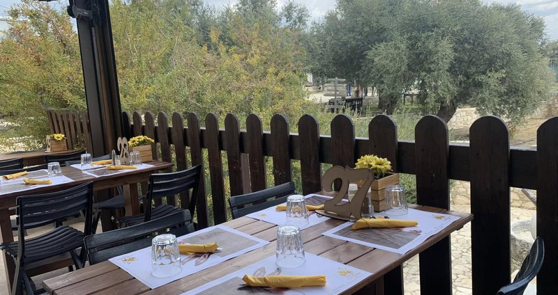 golden_JeKUwaO.2e16d0ba.fill-1375.2e16d0ba.fill-1375x729 (1).jpg