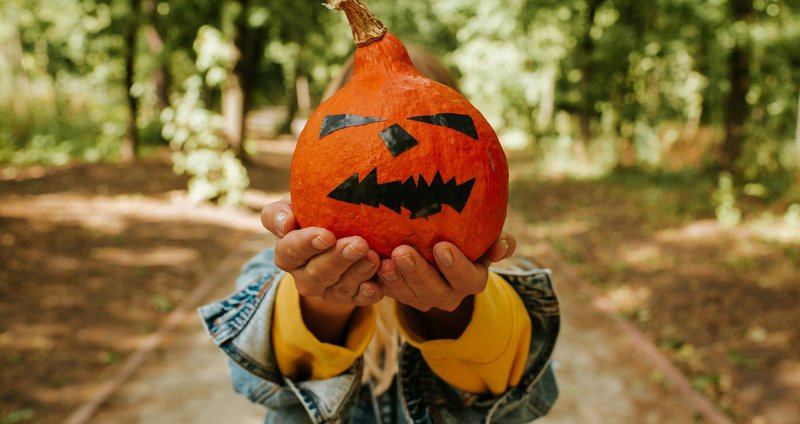 iuliia-pilipeichenko-t-UNIozcaBQ-.2e16d0ba.fill-1375x729.jpg