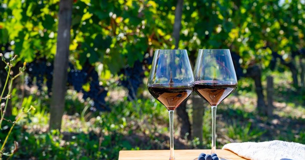 Spring Sips: 5 &sigma;&pi;&omicron;&upsilon;&delta;&alpha;ί&alpha; &kappa;&upsilon;&pi;&rho;&iota;&alpha;&kappa;ά &omicron;&iota;&nu;&omicron;&pi;&omicron;&iota;&epsilon;ί&alpha; &alpha;&nu;&omicron;ί&gamma;&omicron;&upsilon;&nu; &tau;&iota;&sigmaf; &pi;ό&rho;&tau;&epsilon;&sigmaf; &tau;&omicron;&upsilon;&sigmaf; &tau;&omicron; &sigma;&alpha;&beta;&beta;&alpha;&tau;&omicron;&kappa;ύ&rho;&iota;&alpha;&kappa;&omicron;