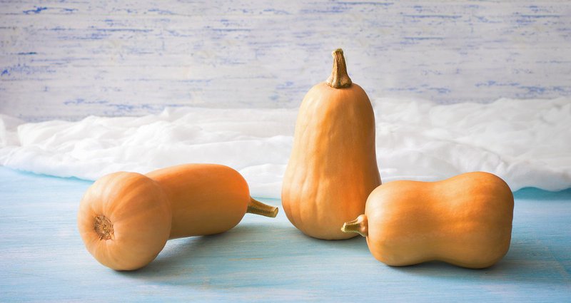 kolokytha_butternut.2e16d0ba.fill-1375x729.jpg