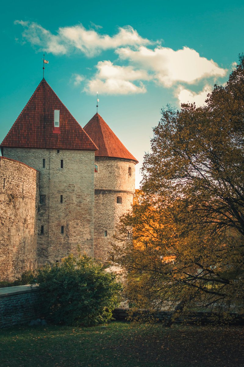 pexels-hert-3224113.jpg