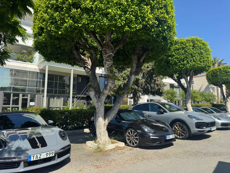 porche1.jpeg