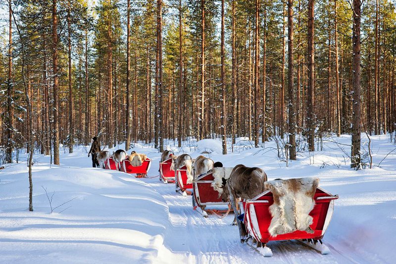 shutterstock_Rovaniemi.jpg