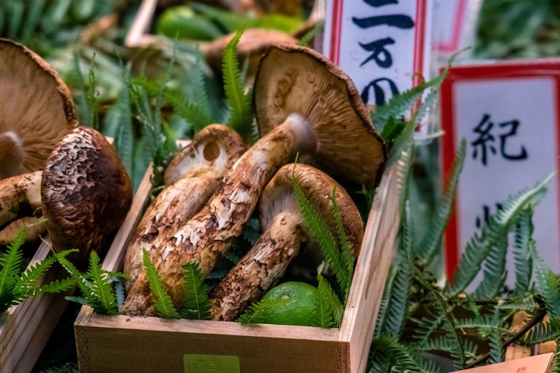 shutterstock_matsutake-mushrooms.jpg