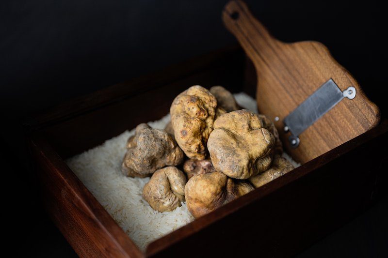 shutterstock_white-truffle.jpg