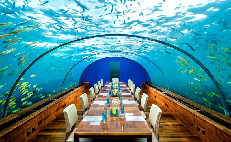 underwater-lunch.jpg.webp