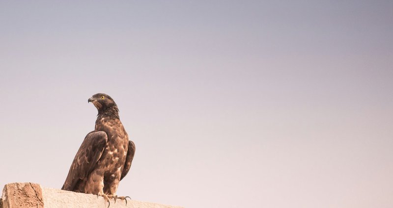 vivek-doshi-BfCWN8iY0ak-unsplash.2e16d0ba.fill-1375x729.jpg