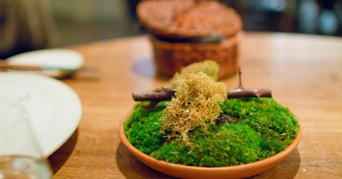 Мох мако 4k. Мхи моховидные. Мох это пища для. Мох мох еда. Мхи,лишайники таганай.